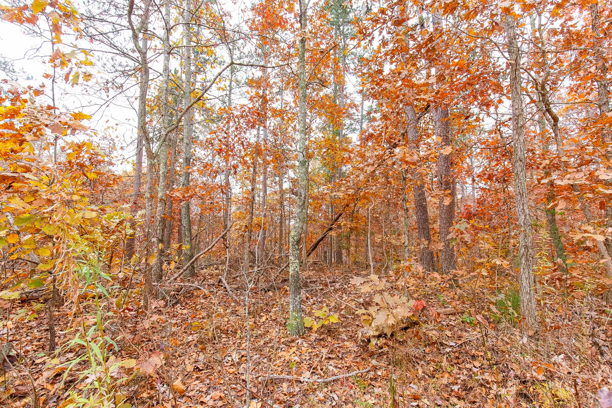 Tract 10 at Hawkcrest in Reynolds County, Missouri
