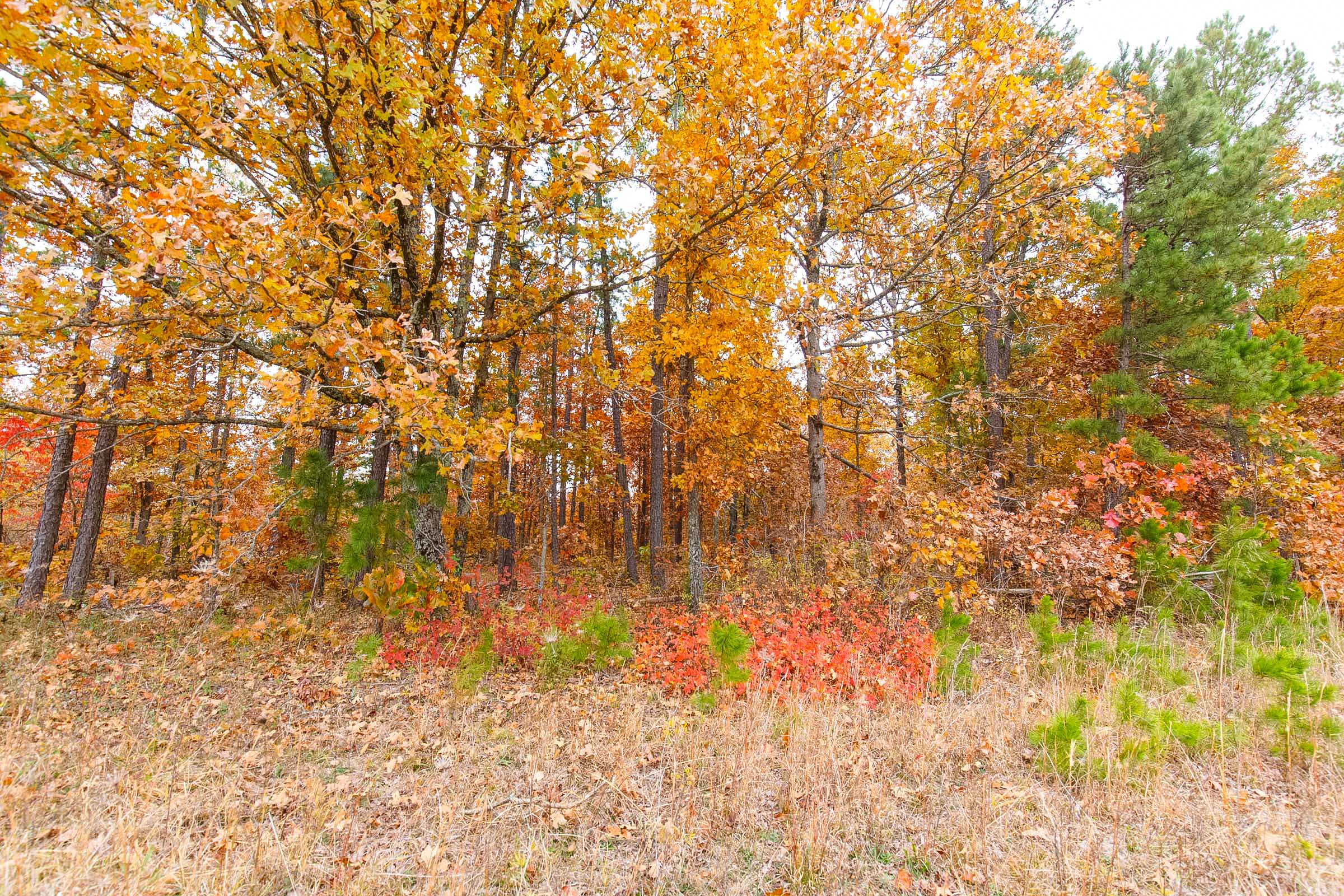 Tract 16 at Hawkcrest in Reynolds County, Missouri