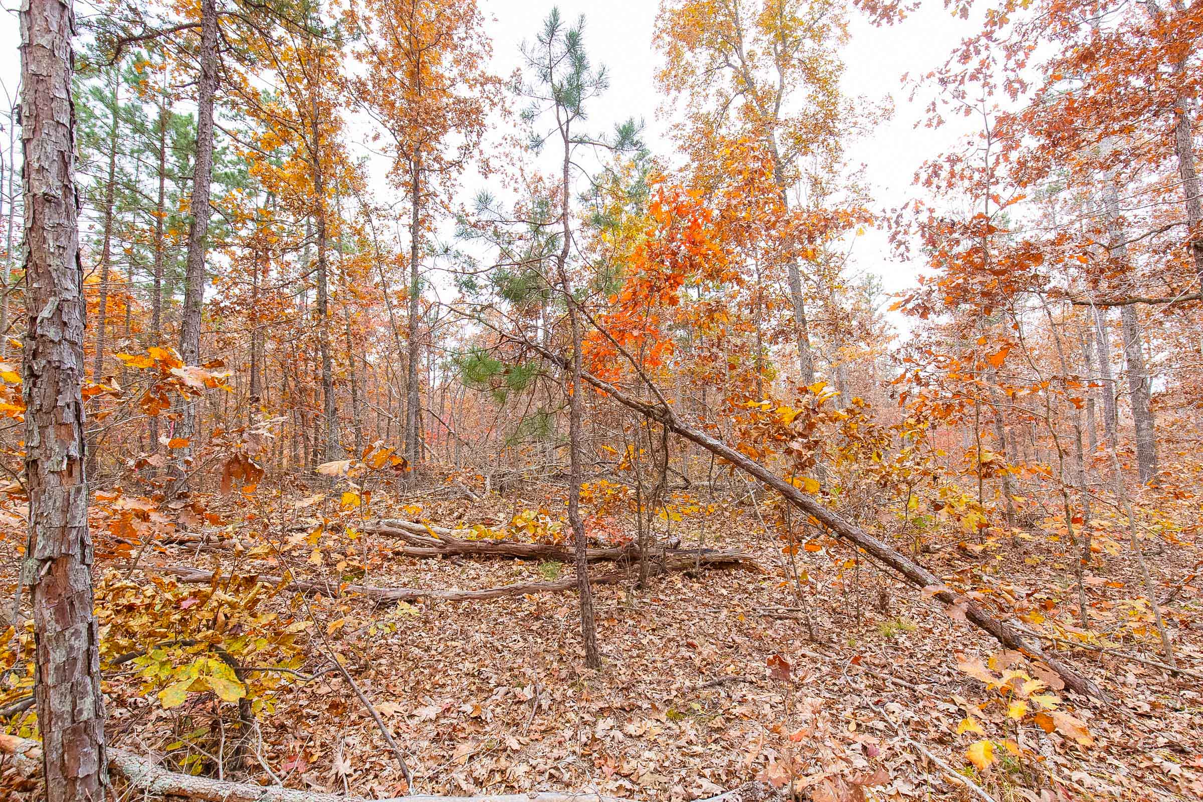 Tract 17 at Hawkcrest in Reynolds County, Missouri