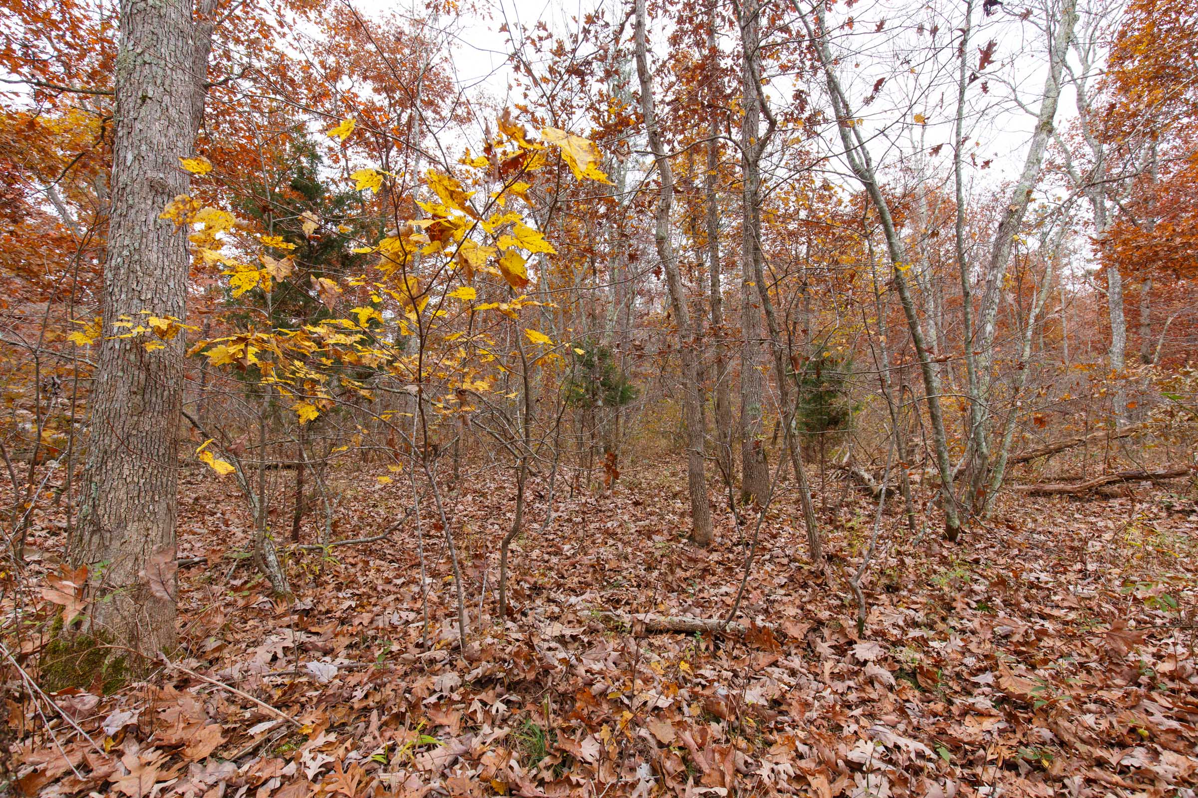 Tract 25 at Hawkcrest in Reynolds County, Missouri