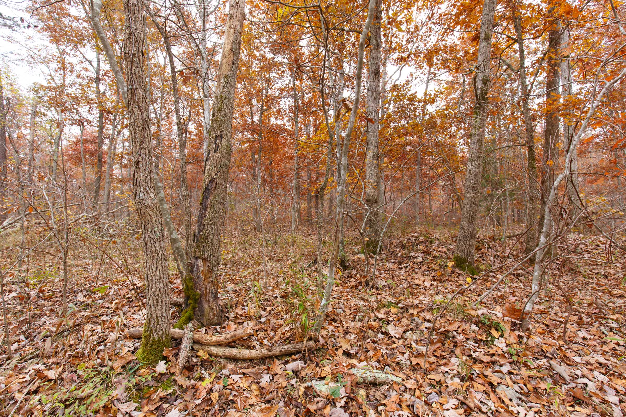 Tract 26 at Hawkcrest in Reynolds County, Missouri