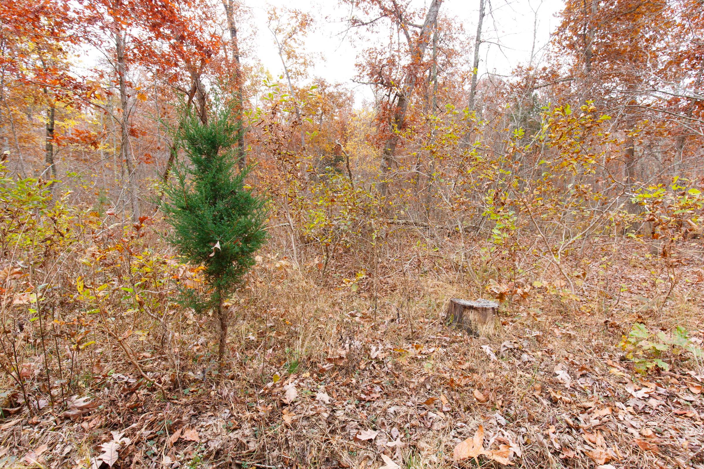Tract 27 at Hawkcrest in Reynolds County, Missouri