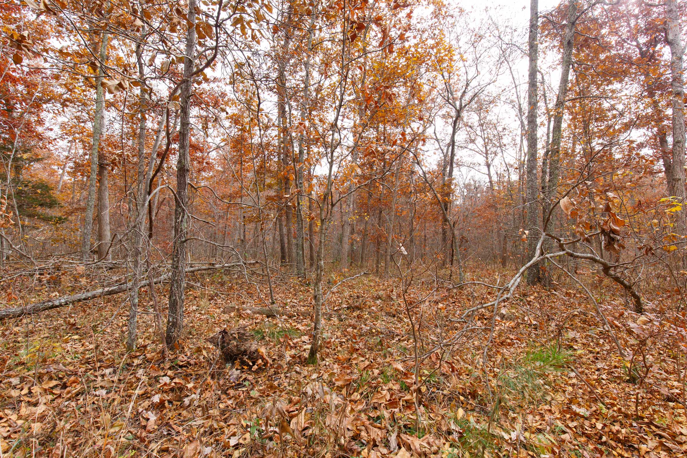 Tract 28 at Hawkcrest in Reynolds County, Missouri