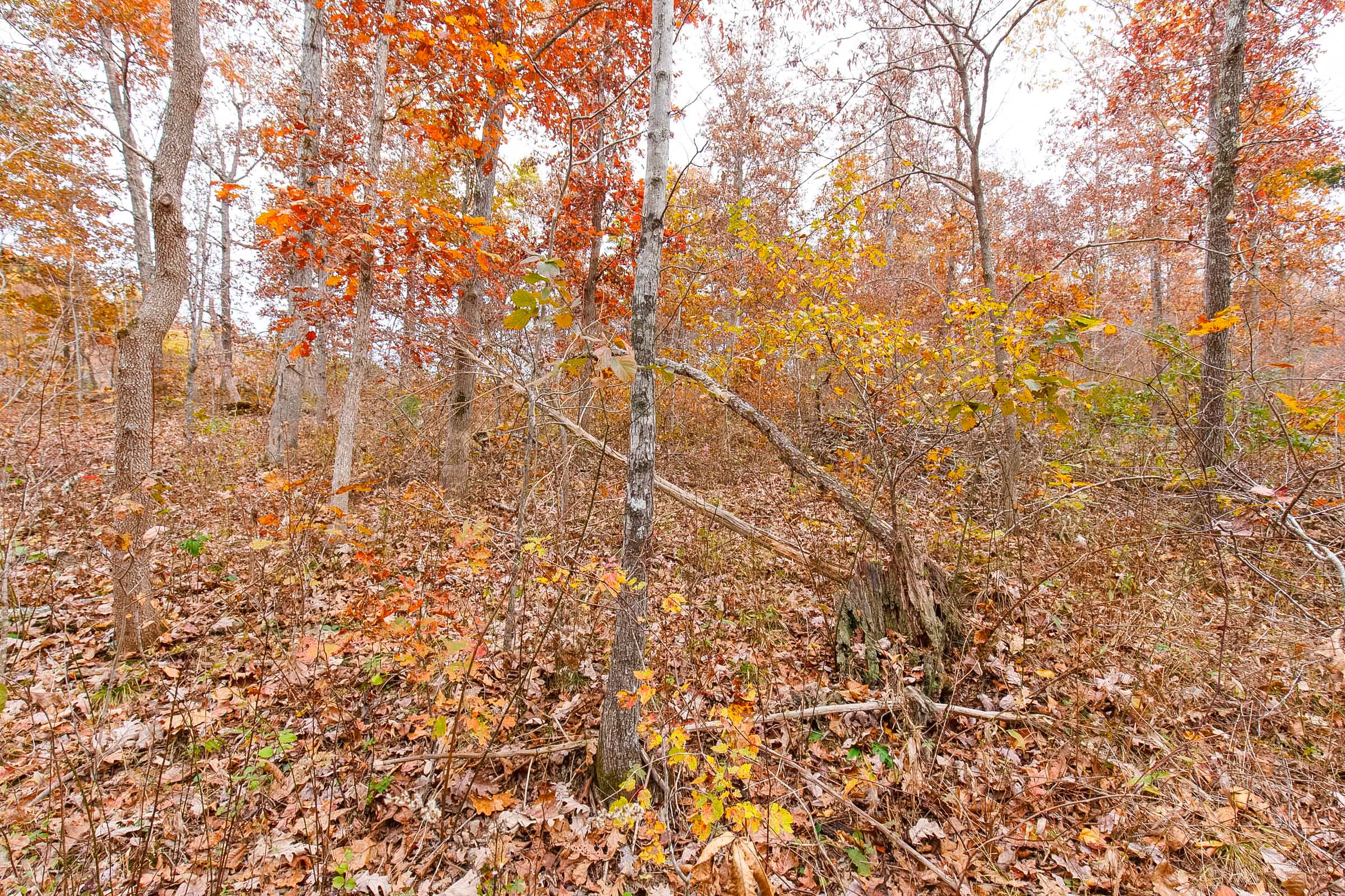 Tract 3 at Hawkcrest in Reynolds County, Missouri
