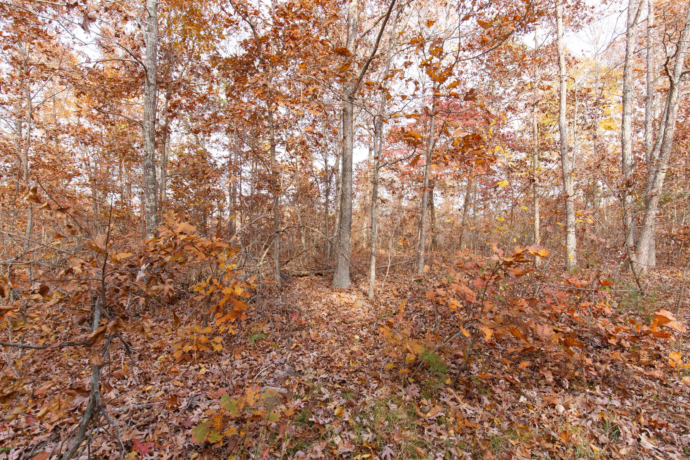 Tract 30 at Hawkcrest in Reynolds County, Missouri