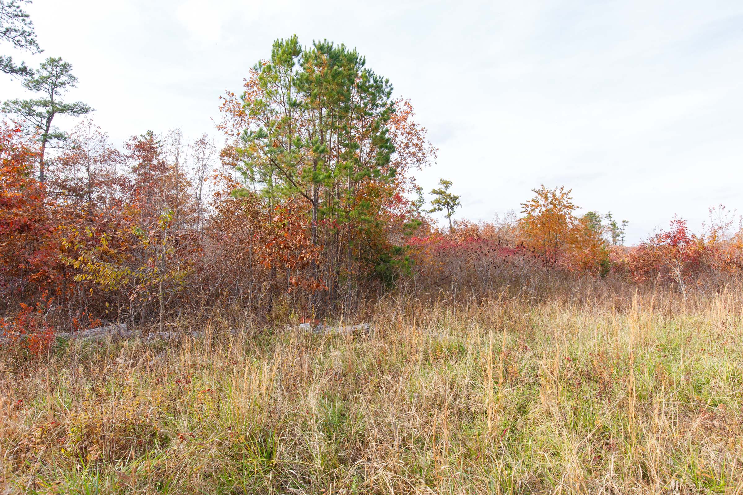 Tract 31 at Hawkcrest in Reynolds County, Missouri