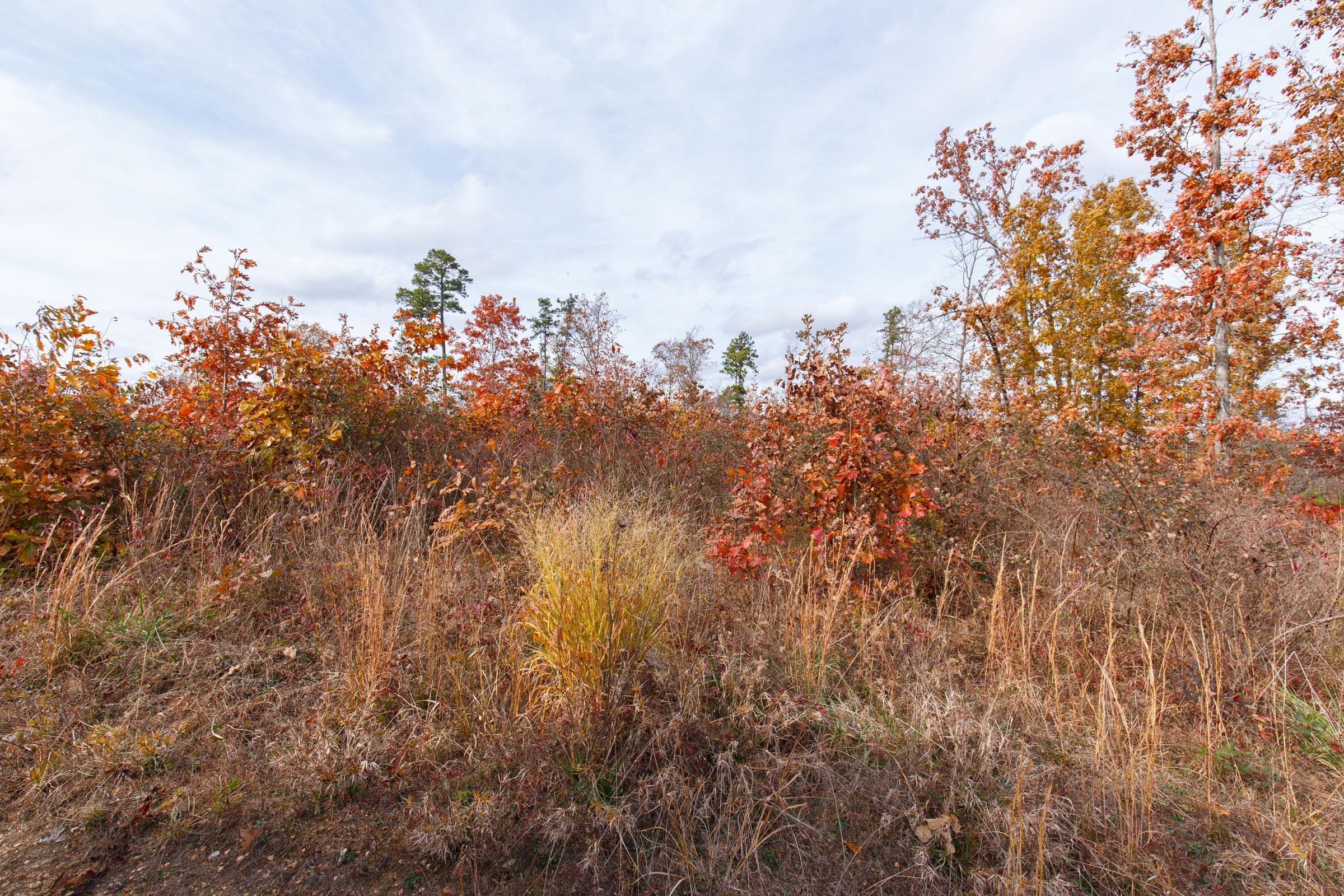 Tract 33 at Hawkcrest in Reynolds County, Missouri