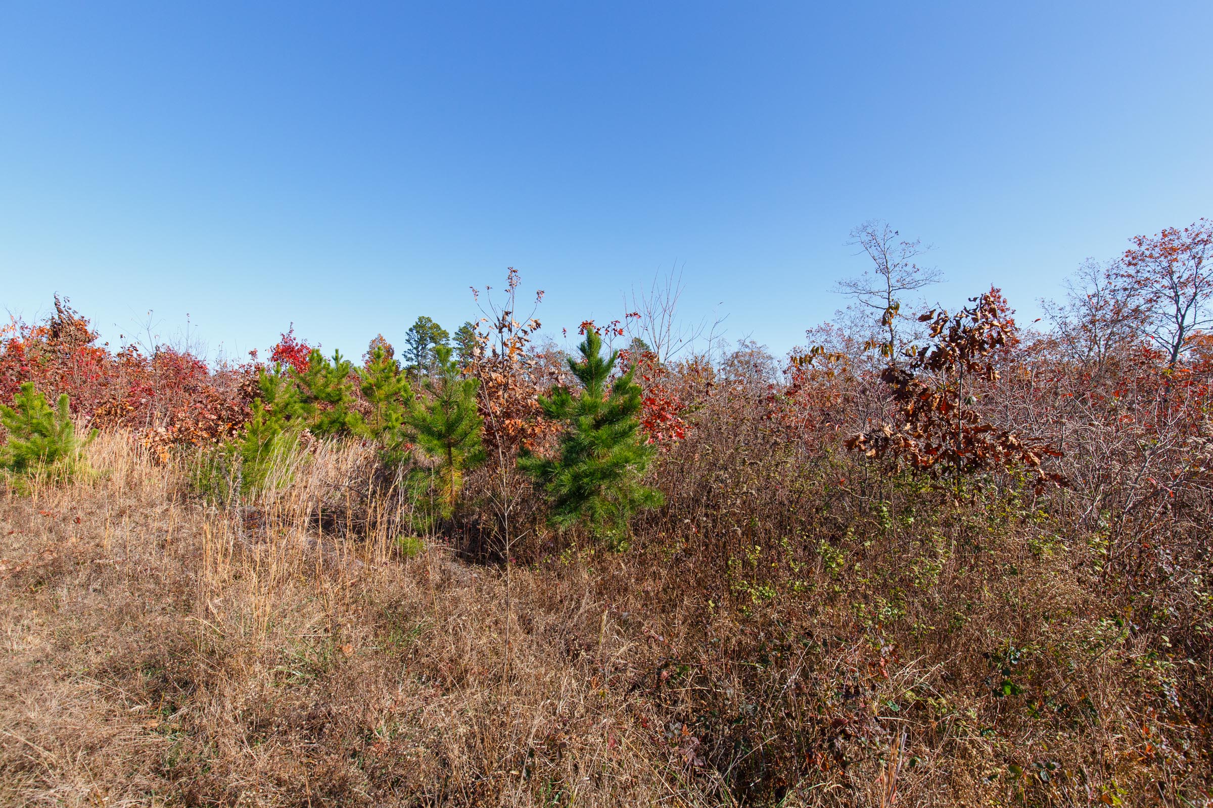 Tract 34 at Hawkcrest in Reynolds County, Missouri
