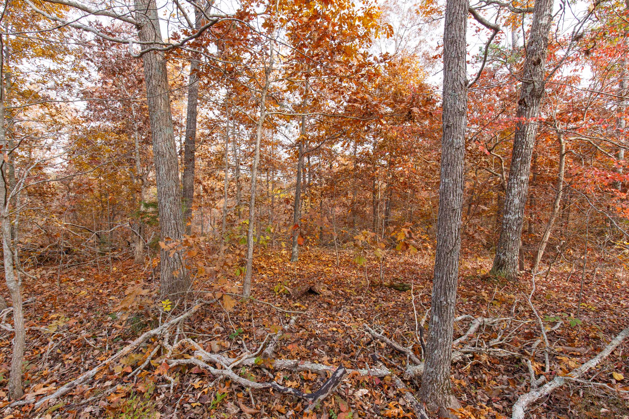 Tract 35 at Hawkcrest in Reynolds County, Missouri