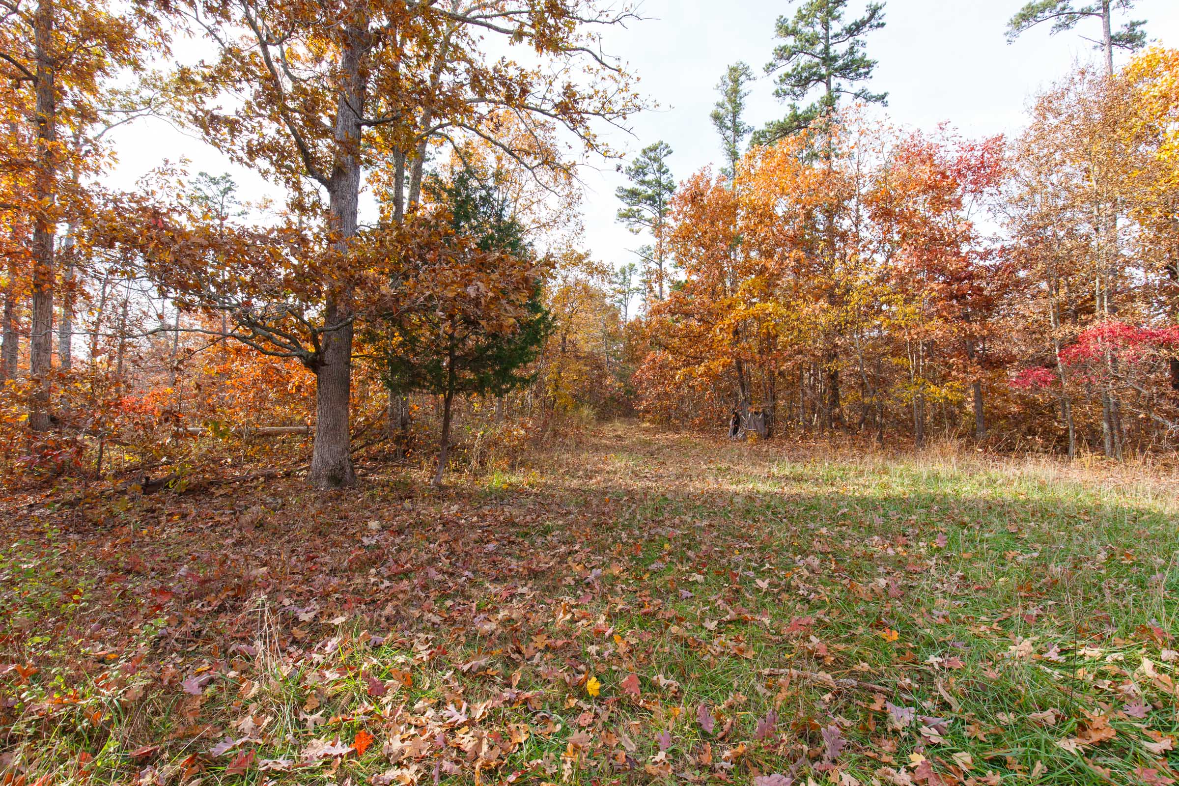 Tract 36 at Hawkcrest in Reynolds County, Missouri
