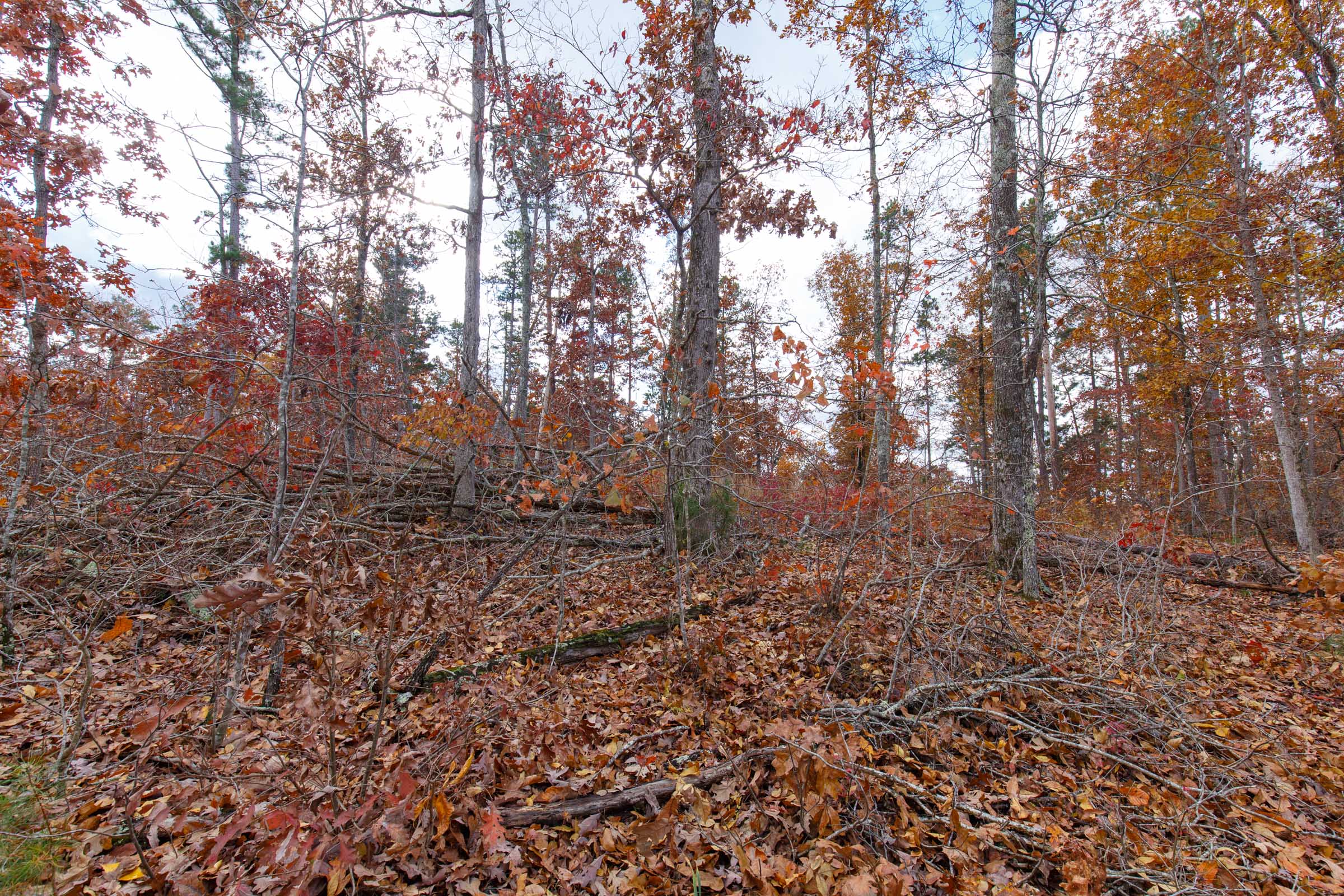 Tract 37 at Hawkcrest in Reynolds County, Missouri