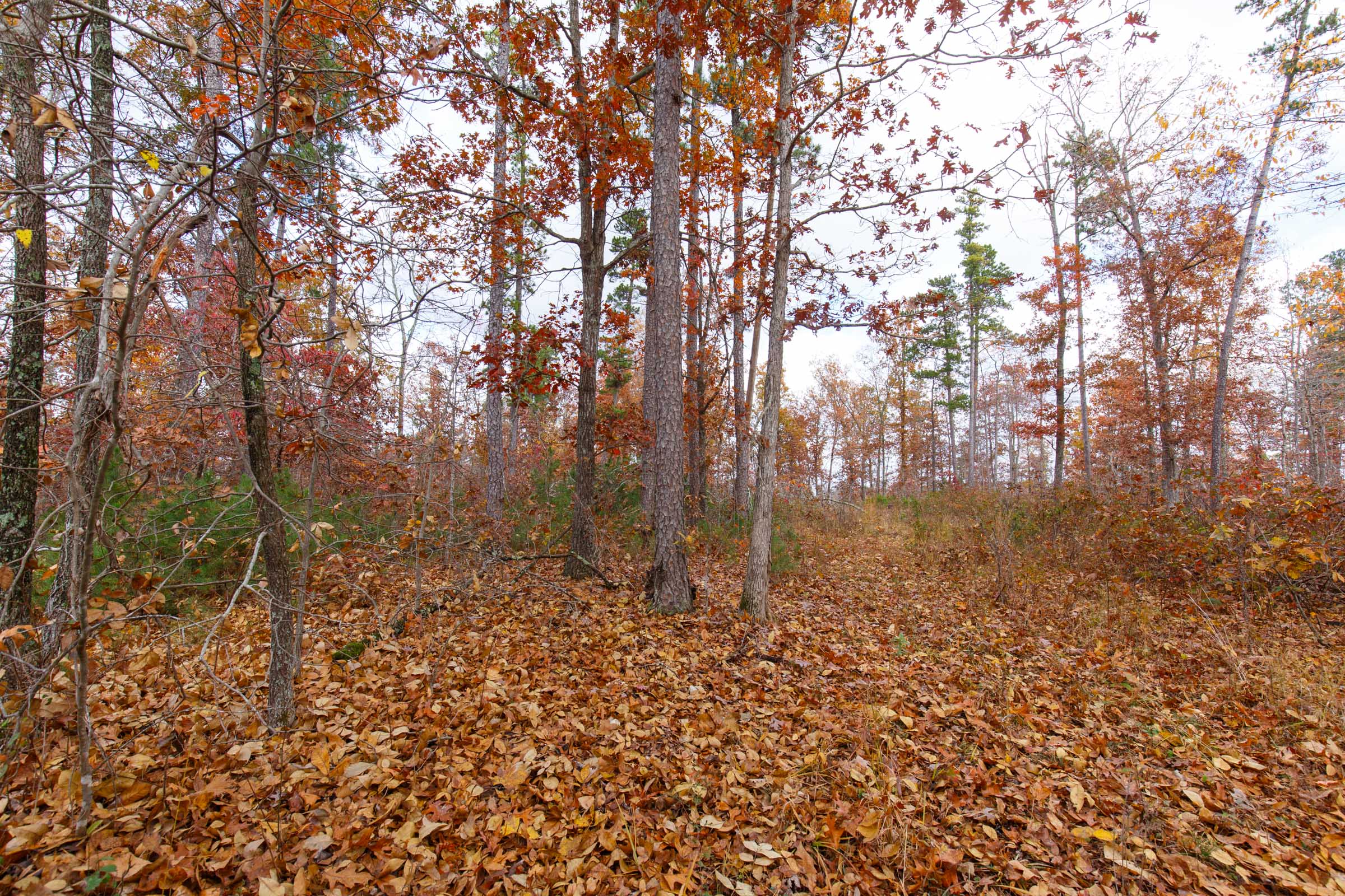 Tract 38 at Hawkcrest in Reynolds County, Missouri