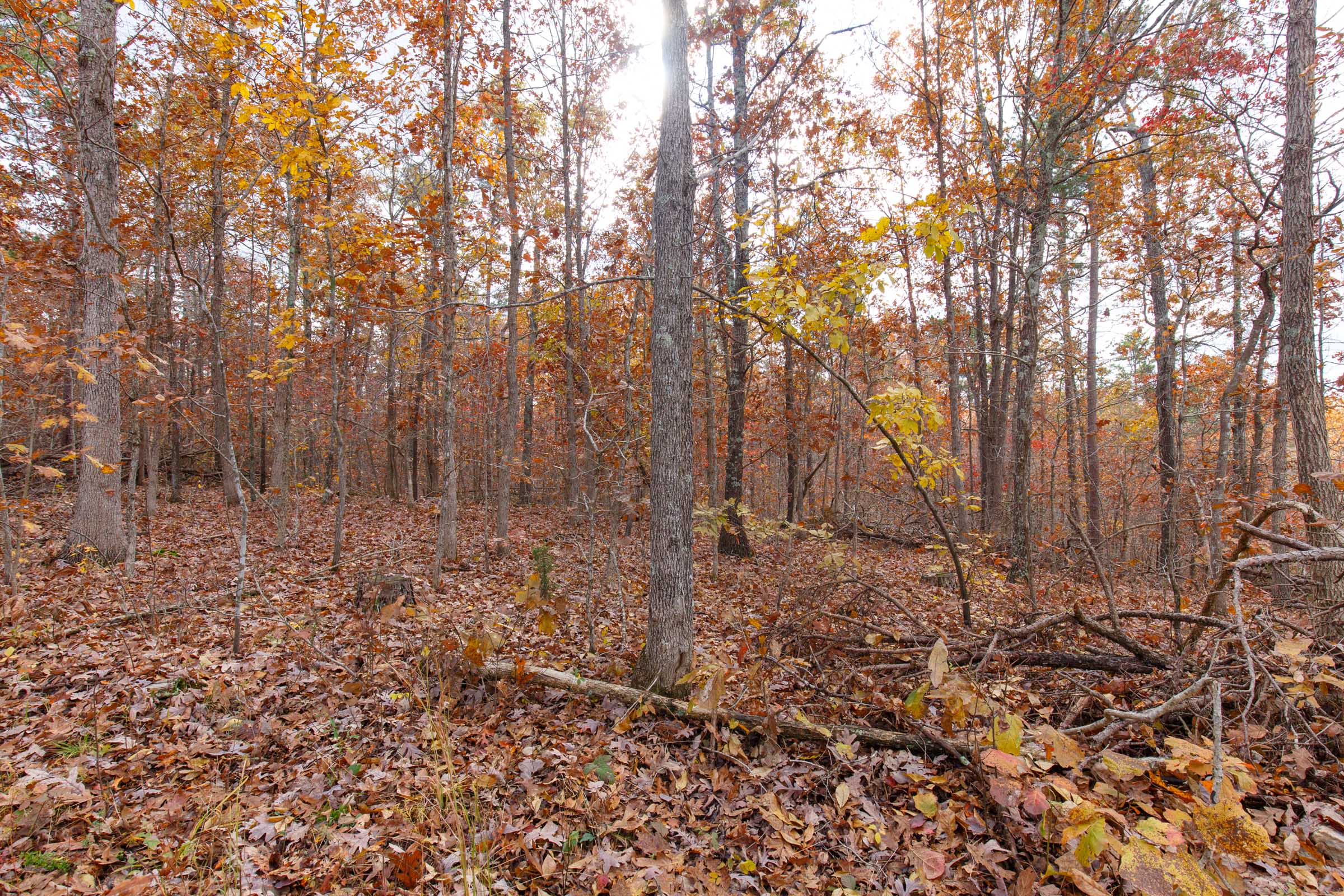 Tract 39 at Hawkcrest in Reynolds County, Missouri