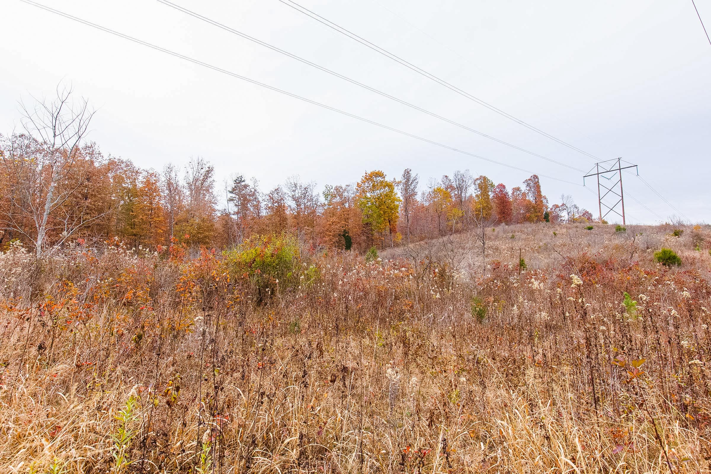 Tract 4 at Hawkcrest in Reynolds County, Missouri