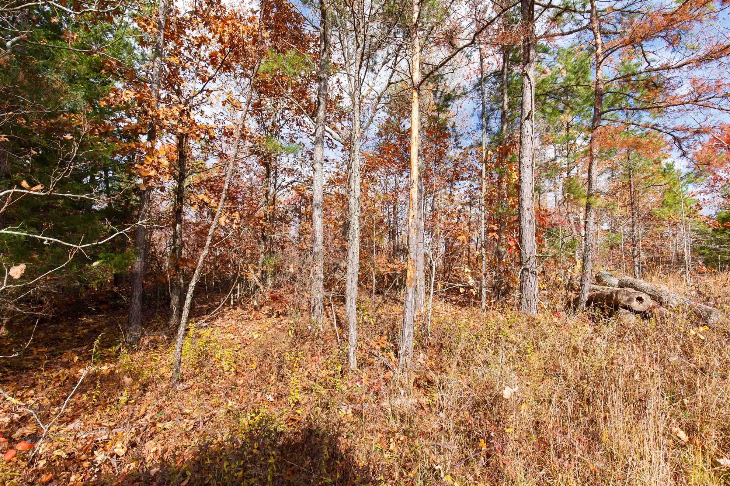 Tract 40 at Hawkcrest in Reynolds County, Missouri