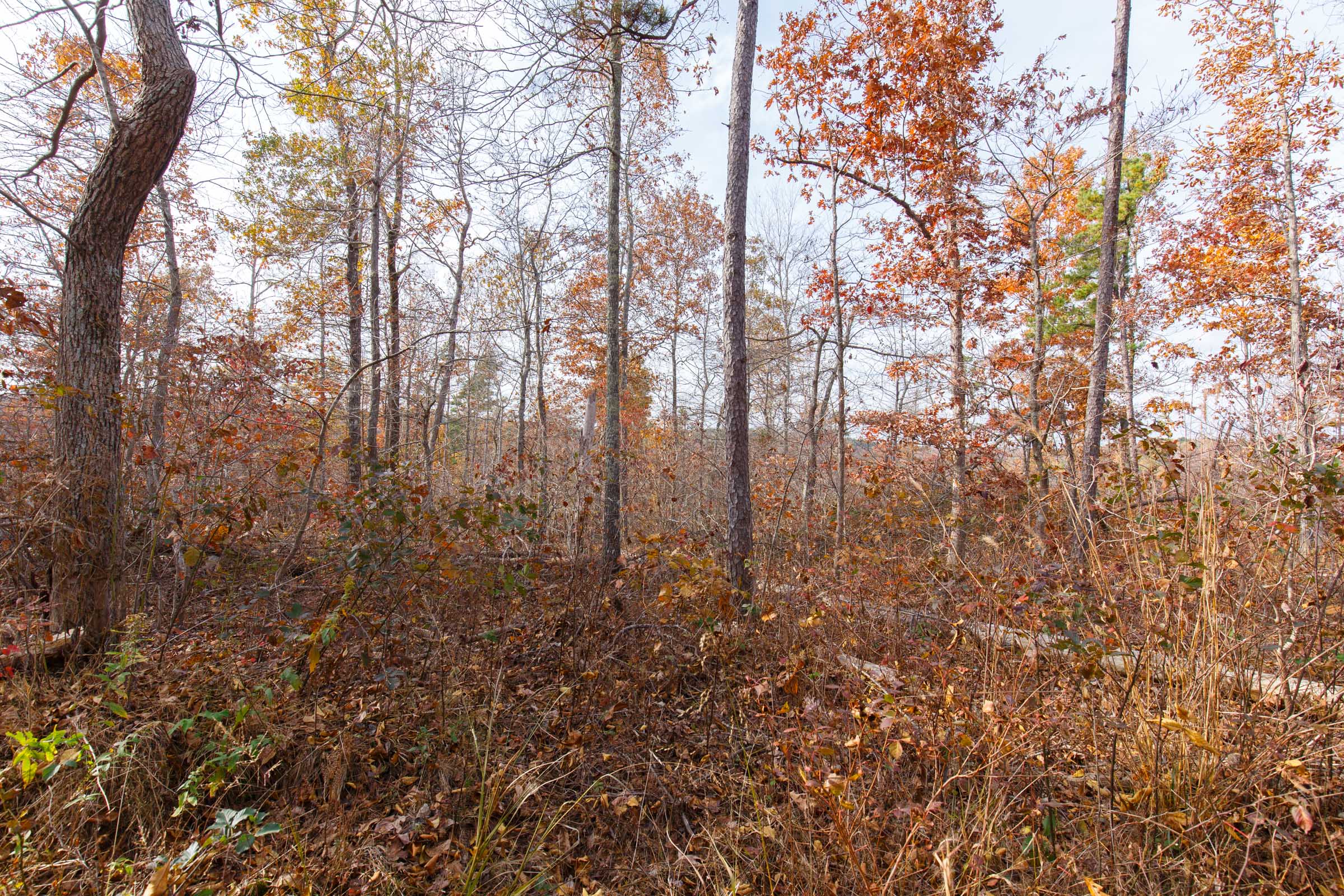 Tract 42 at Hawkcrest in Reynolds County, Missouri