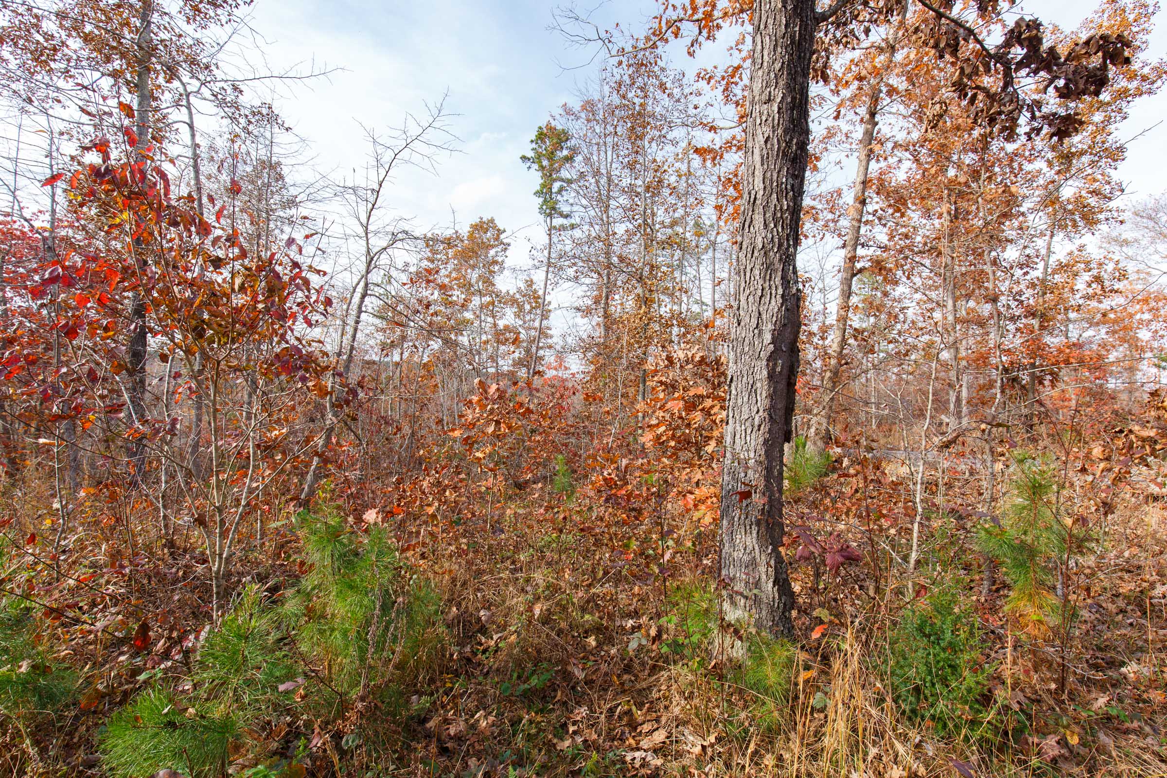 Tract 43 at Hawkcrest in Reynolds County, Missouri