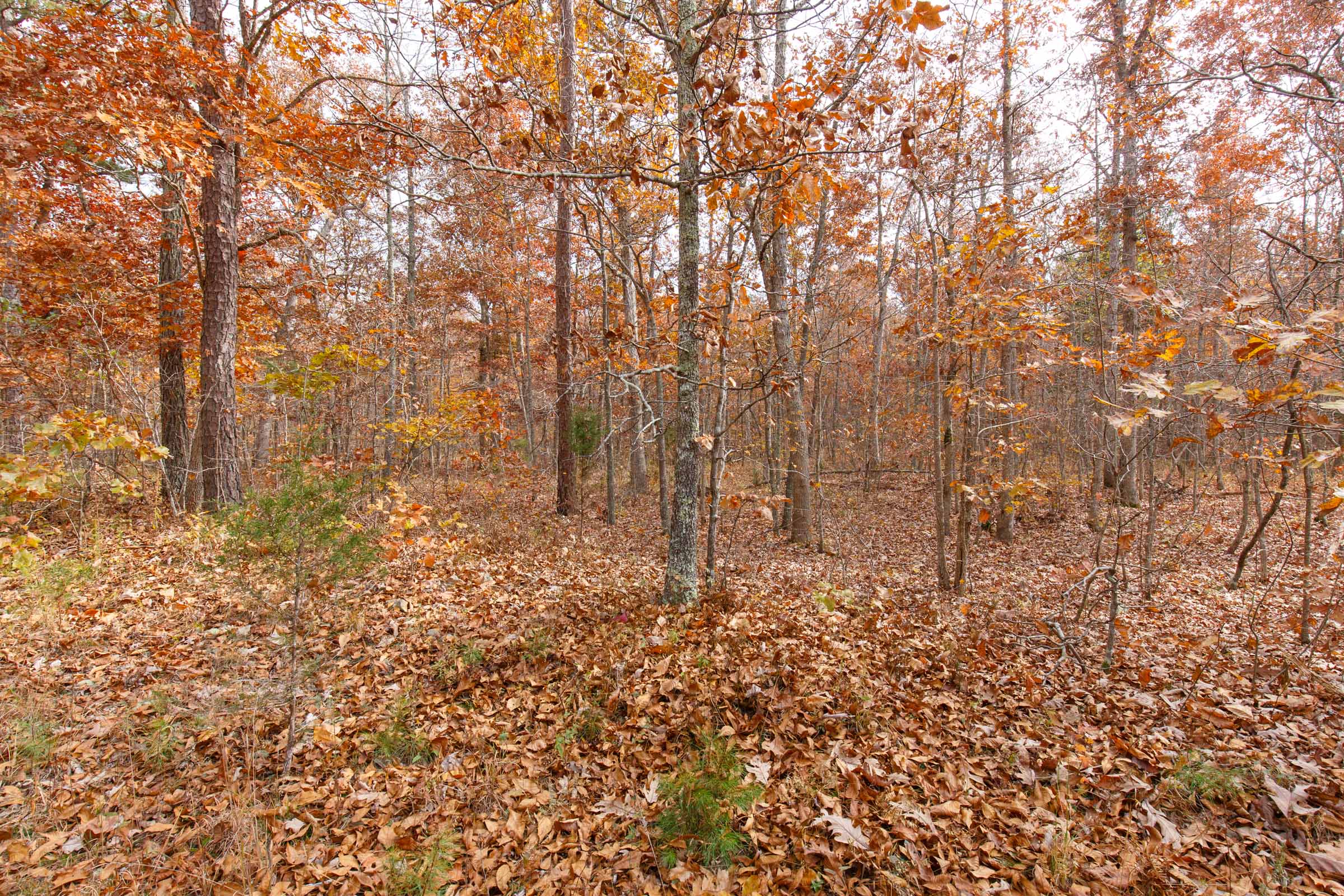 Tract 44 at Hawkcrest in Reynolds County, Missouri
