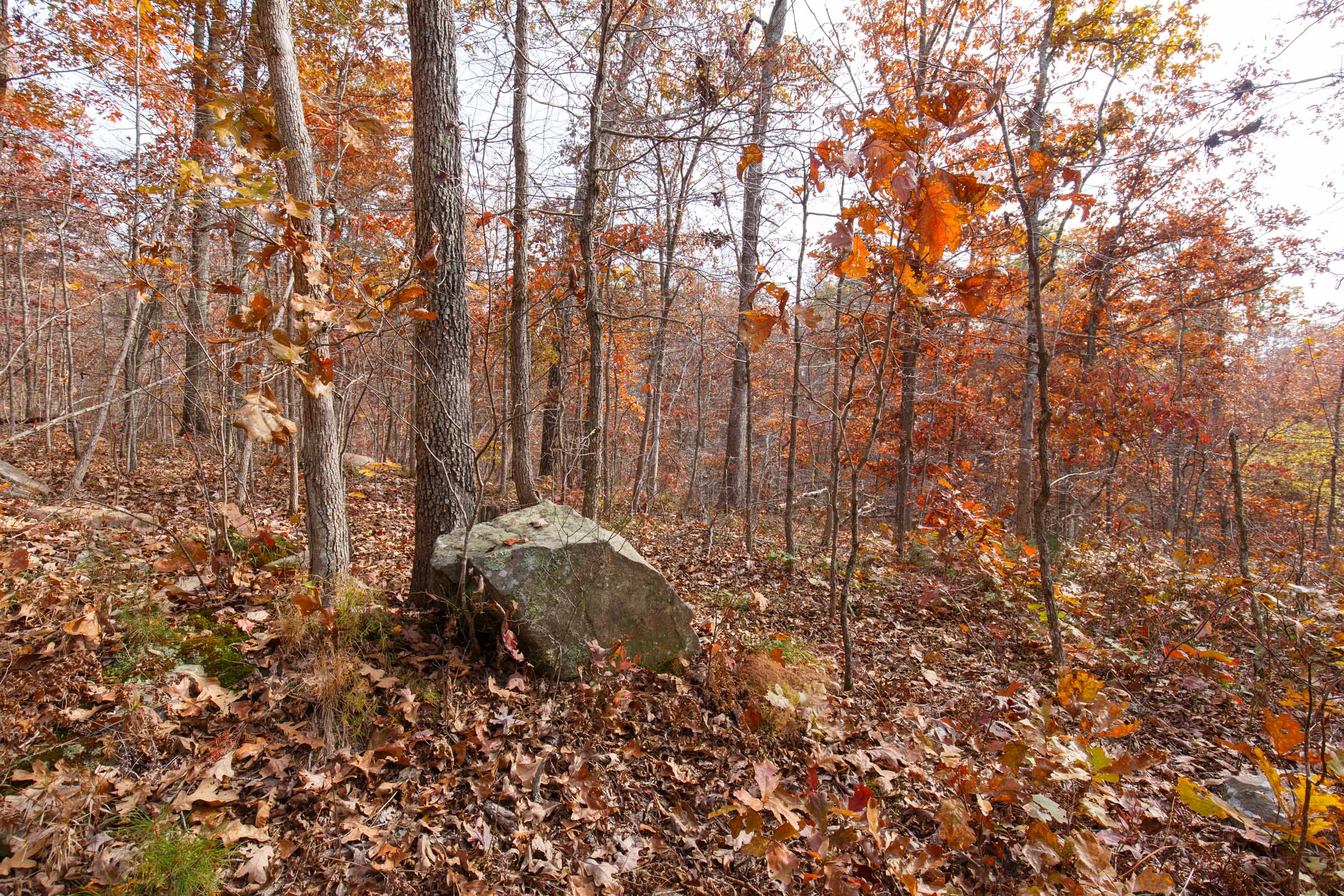 Tract 46 at Hawkcrest in Reynolds County, Missouri