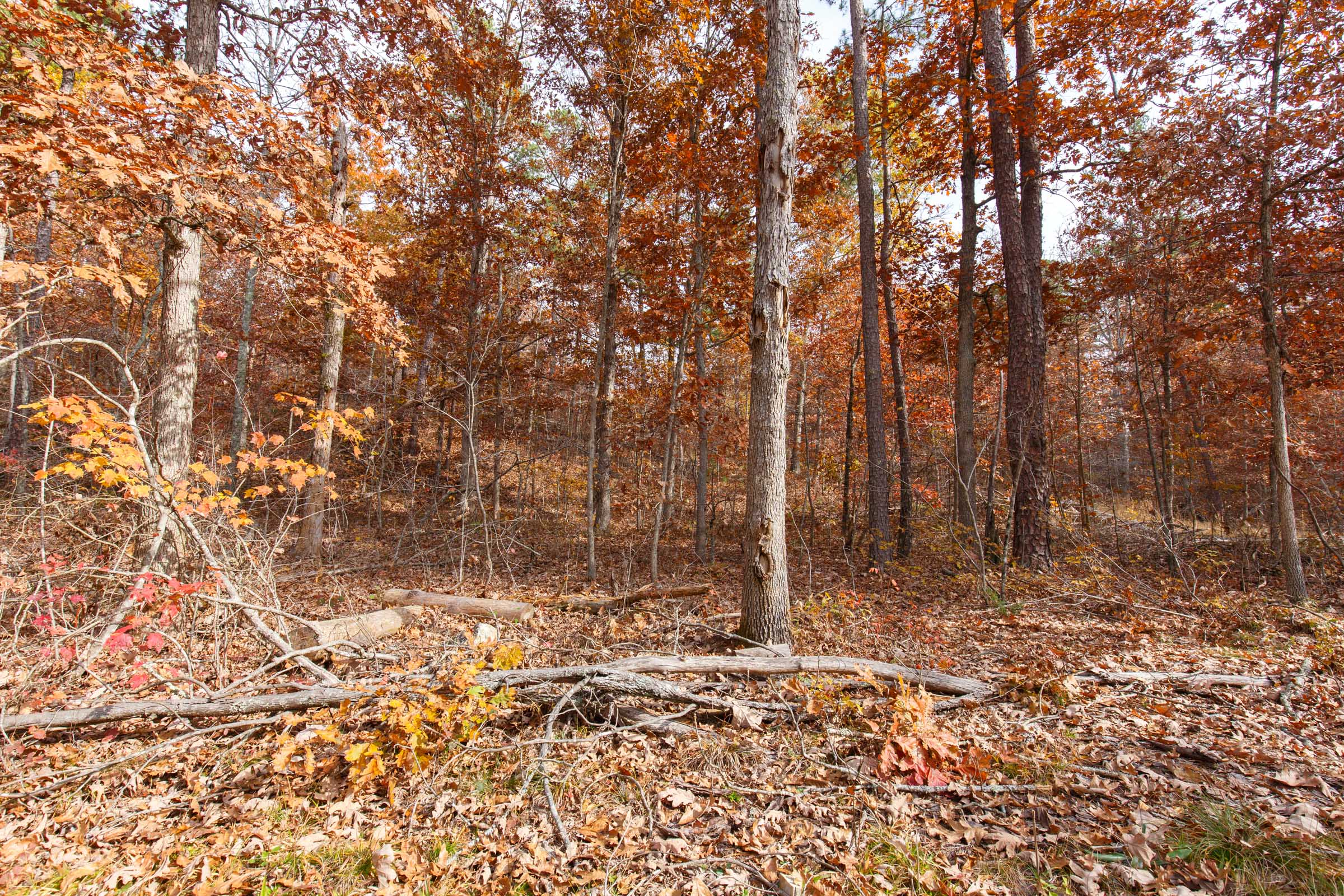 Tract 47 at Hawkcrest in Reynolds County, Missouri