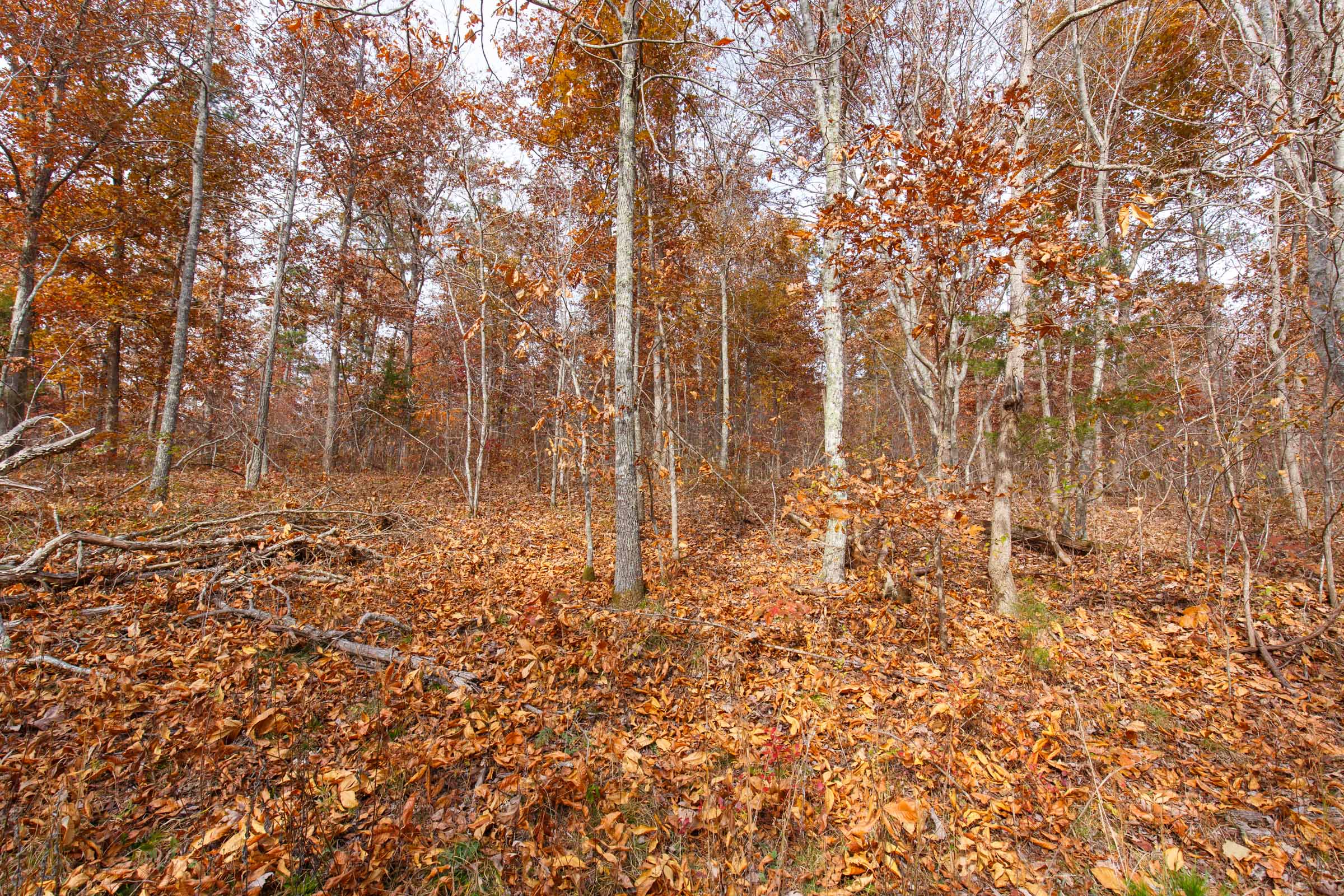 Tract 48 at Hawkcrest in Reynolds County, Missouri