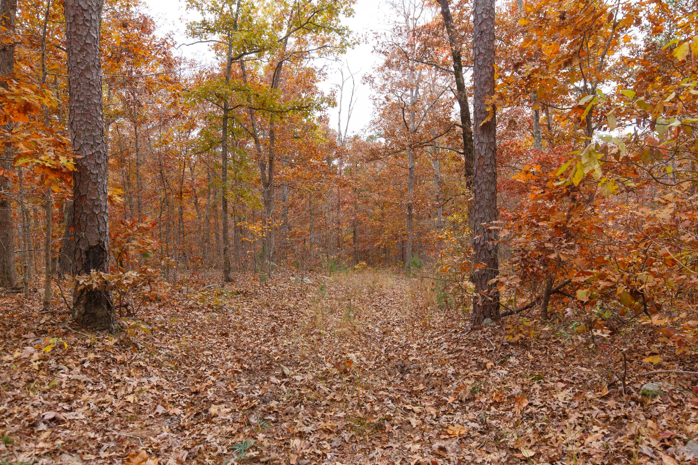 Tract 50 at Hawkcrest in Reynolds County, Missouri