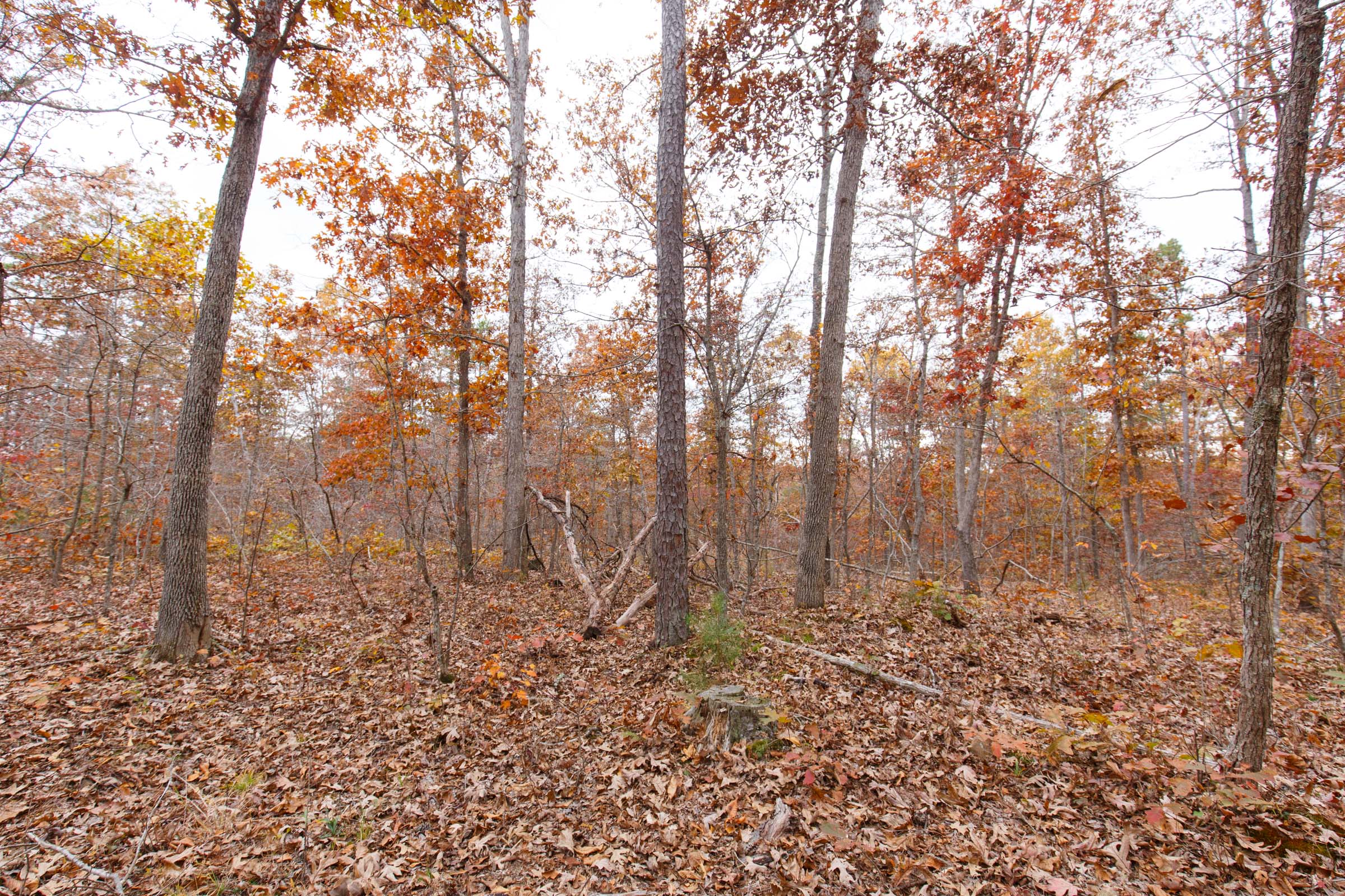 Tract 51 at Hawkcrest in Reynolds County, Missouri