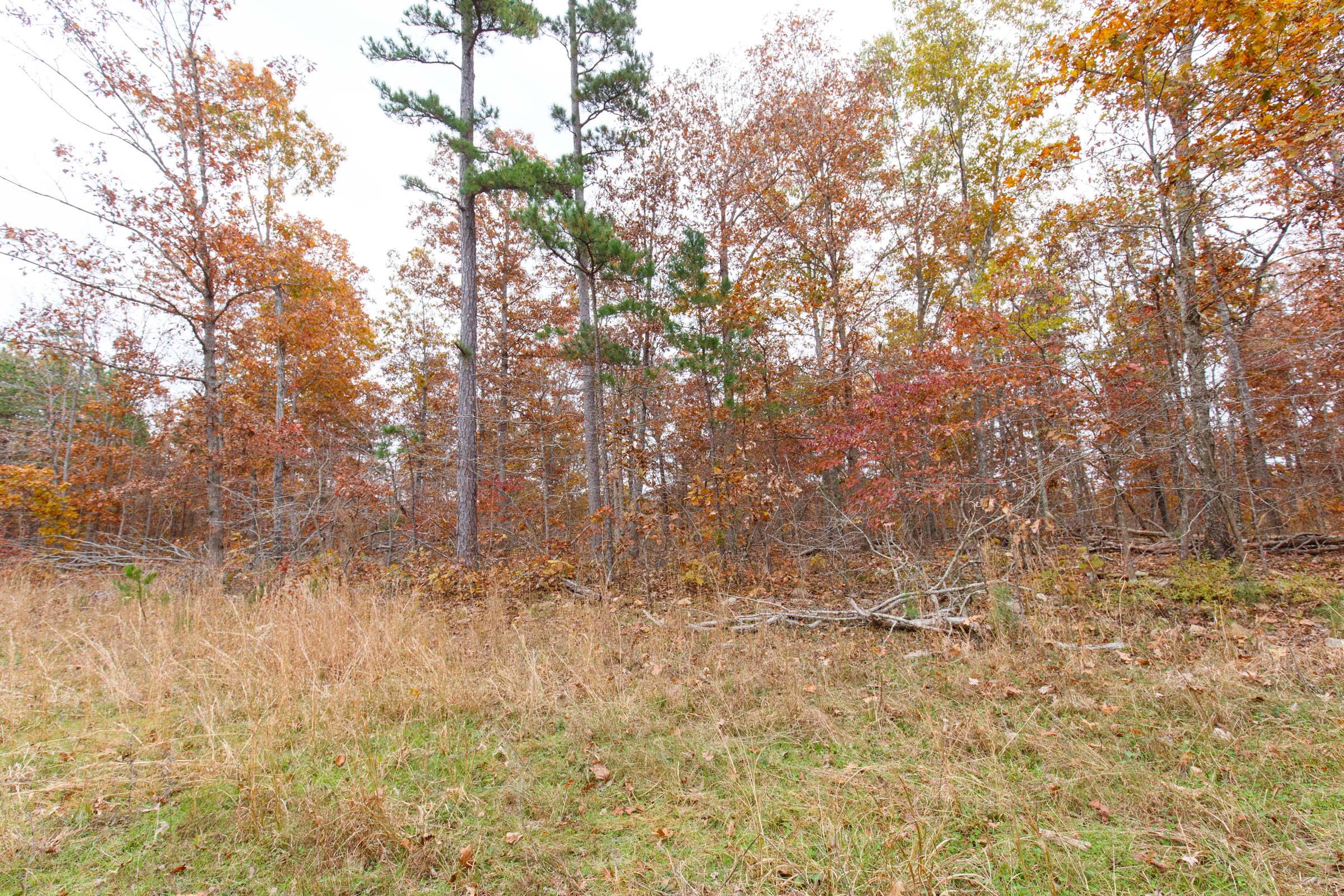 Tract 52 at Hawkcrest in Reynolds County, Missouri