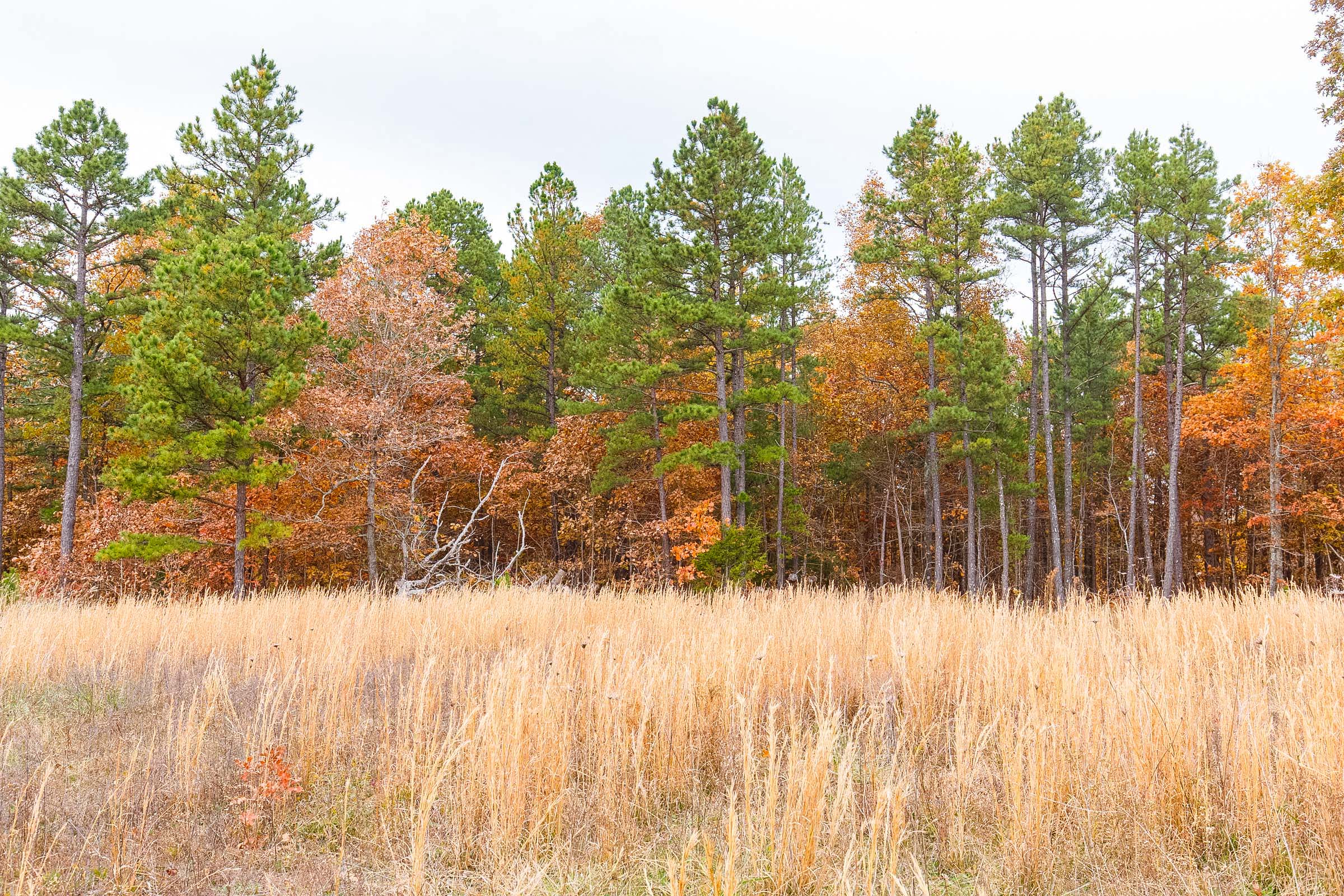 Tract 7 at Hawkcrest in Reynolds County, Missouri